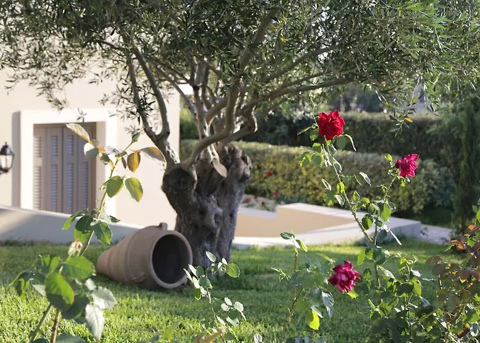 Costa Rossa -adults Only 3*